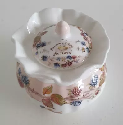 Buy Royal Doulton Brambly Hedge Autumn Sugar Bowl Excellent Condition • 14.99£