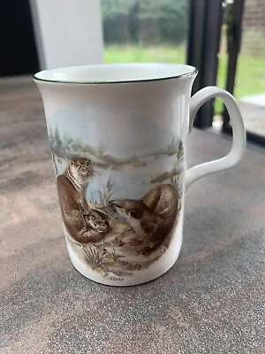 Buy ROY KIRKHAM Otters Mug Vgc • 6£