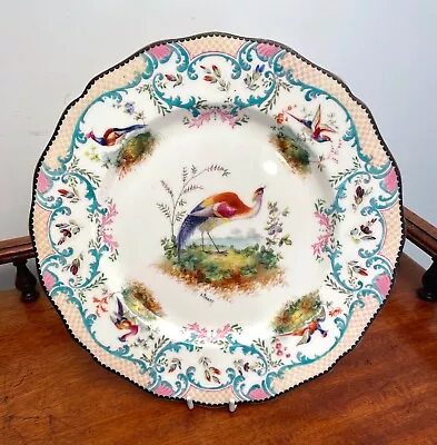 Buy Wonderful Antique Royal Doulton Fancy Chelsea Bird Cabinet Plate By E.percy • 25£