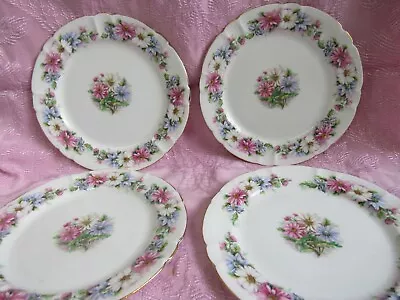 Buy Royal Stafford Daisy Chain Bone China 8  Plates - Made In England - 4 Pieces • 73.60£