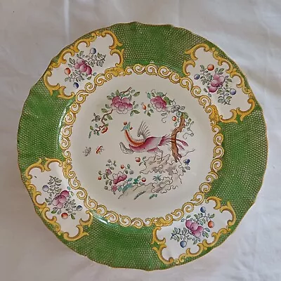 Buy Antique Minton T.Goode Green Cockatrice Pattern 4863 Plate 10.25 Inch • 25£