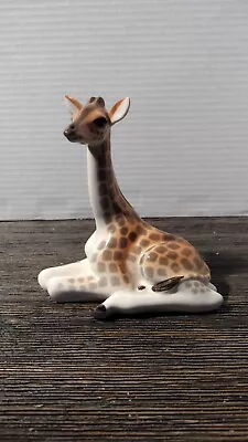 Buy Russia Imperial Lomonosov Porcelain African Giraffe Sculpture Figurine, 5 1/4  T • 79.20£