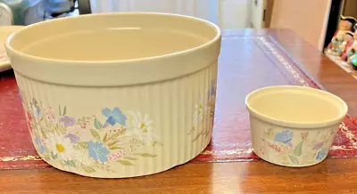 Buy Poole Pottery Springtime Serving Dish And Ramekin • 5£