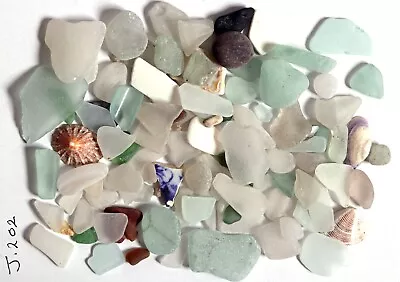 Buy Cornish Sea Glass, Pottery And Shells. • 4£