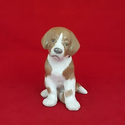 Buy B&G Royal Copenhagen St Bernard Puppy 1926 - 5486 RCH • 66.50£