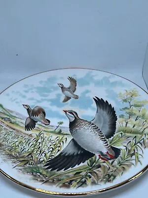 Buy Royal Grafton 4/4 Game Birds Plate French Partridge Animal Dish 8.5   #LH • 3.87£