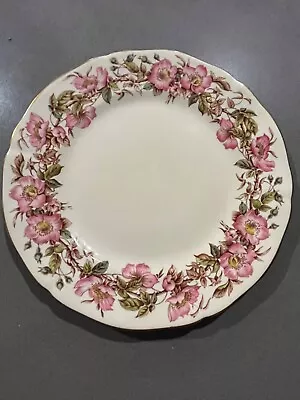 Buy Vintage Adderley Briar Rose Pattern  Bone China Dinner Plate 10.25   Ivory/Rose • 9.31£