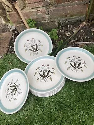 Buy 10 Alfred Meakin Side Plates Hedgerow • 20£