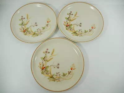 Buy 3x M&S (St Michael) Vintage Harvest Dinner Plates Oven To Table Stoneware Boxed • 14.99£
