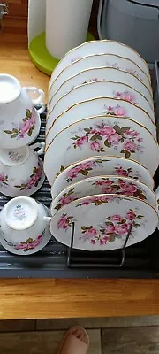 Buy Queen Anne Bone China Tea Set 4 Cups Milk Jug 6 Saucers 6 Plates • 30£