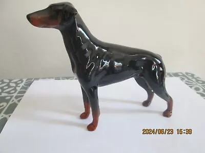 Buy LARGE BESWICK DOG DOBERMAN PINSCHER 6 Inches High • 14.99£