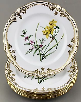 Buy Spode China England Stafford Flowers Breakfast Small Dinner Plates X 6 1st Mint! • 595£
