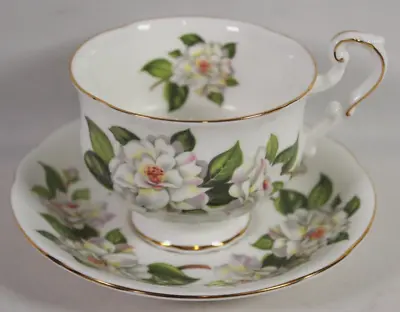 Buy Royal Standard Fine Bone China England Tea Cup & Saucer • 18.59£