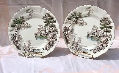 Buy Olde Avon Dale English Staffordshire Dinner Plates J&G Meakin Set Of 2 No Chips • 18.64£