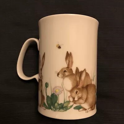 Buy DUNOON  Rustic Rascals Fine Bone China Mug Designed By Cherry Denman (Rabbits) • 9.99£