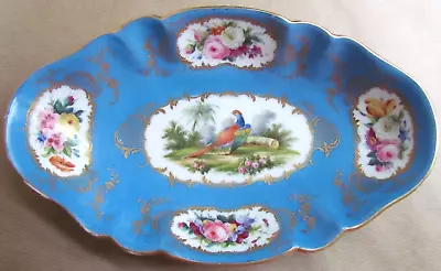 Buy Sevres Porcelain Celeste Bleu Exotic Bird/floral/gilt Dish Circa 1880 (10894) • 169£