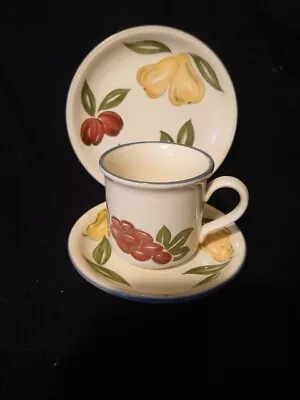 Buy Vintage Staffordshire Tableware Fruit Pattern Trio Cup  Saucer Plate Replacement • 7.95£
