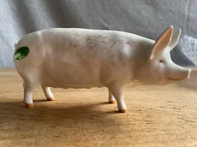 Buy Vintage John Beswick ‘Wall Queen 40’ Porcelain Pig/Boar Made In England In 1960s • 50£