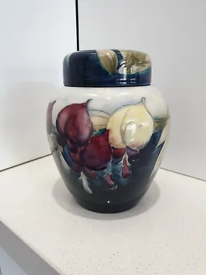 Buy Moorcroft Burslem Wisteria Ginger Jar • 241.75£