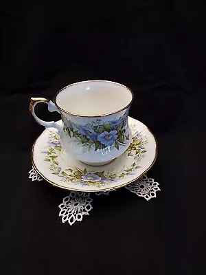 Buy Queen's Fine Bone China Rosina China Co. Ltd. 'Wild Flowers' Tea Cup & Saucer • 17.27£
