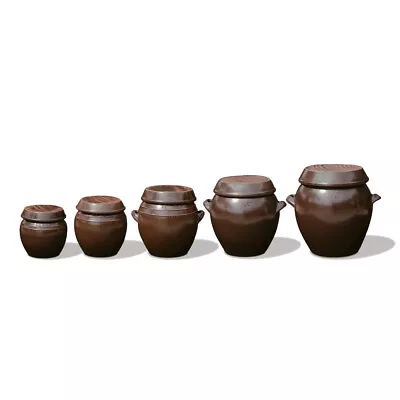 Buy Korean Clay W/Lid Pottery Pot Jar ONGGI Hangari For Fermenting Kimchi Gochujang • 196.47£