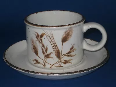 Buy Midwinter Stonehenge Wild Oats Pattern Cup And Saucer In Excellent Condition. • 5£