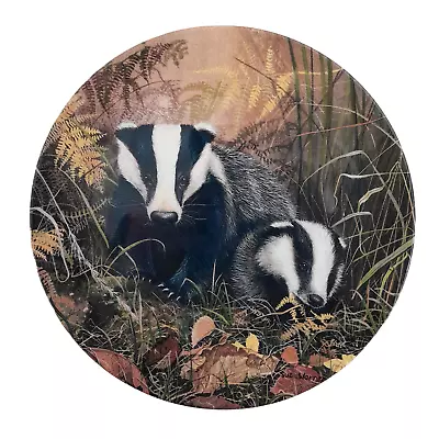 Buy Vintage Plate Royal Doulton Badgers At The Forest Edge Sue Warner Plate • 4.99£
