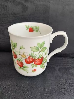 Buy Sadler Strawberry Fine China Cup • 8£
