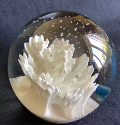 Buy Coral /reef White Art Glass In Clear Glass 3” Diameter Paperweight  Rare Bargain • 7.50£