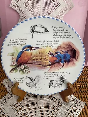 Buy Wedgewood The BLUE TIT   Bone China Collectors Plate • 2.99£