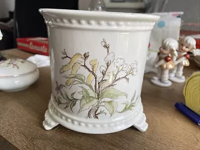 Buy Royal Winton Pottery Plant Pot • 7£