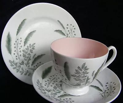 Buy Queen Anne Bone China Pampas Trio: Very Delicate • 6.65£