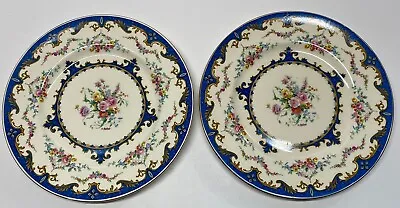 Buy 2 Sevres Blue By Myott Staffordshire England 10 5/8” Floral Dinner Plates 3811 • 46.59£