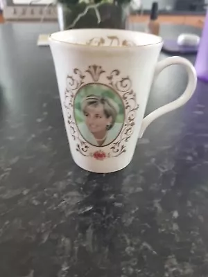 Buy Aynsley Rosedale Fine Bone China Lady Diana Mug • 5£