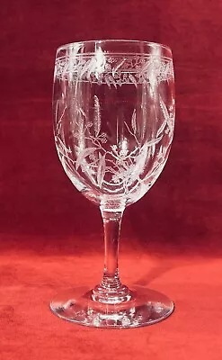 Buy Baccarat Mimosa Wine Glass Wine Glass Crystal Engraved Art New 1900a • 38.44£