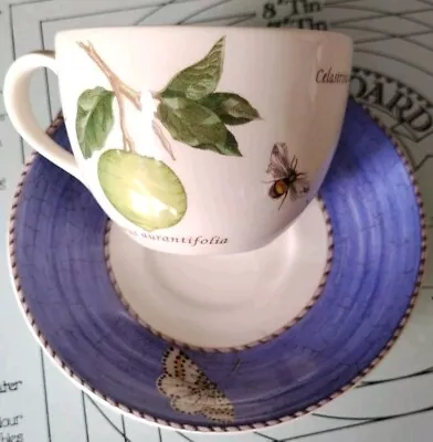Buy Blue Wedgwood Sarah's Garden Cup And Saucer  • 12£