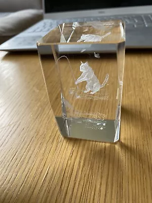 Buy Cat Fishing Etched Glass Block Paperweight • 7£