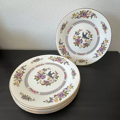 Buy Aynsley Capistrano Dinner Plates Set Of 6 Floral English Bone China 10-7/8  • 121.14£