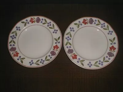 Buy Vintage Adams Old Colonial 9  Lunch Breakfast Plates X 2 Old English Ironstone • 14.95£