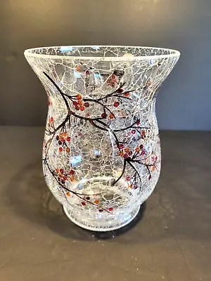 Buy Beautiful Crackle Glass Vase • 21.47£