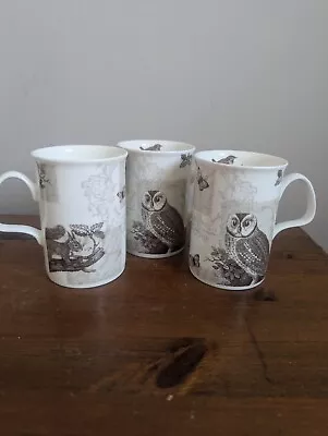 Buy Set Of 3 RSPB Roy Kirkham Fine Bone China Mug • 16.50£