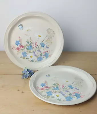 Buy Poole Pottery Springtime Pair Of Dinner Luncheon Plates Vintage 1970s 26cms • 12£