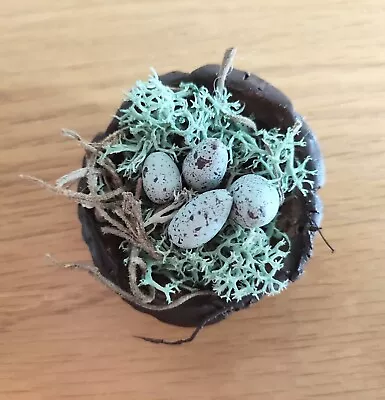 Buy Little Bird Nest, Rustic Clay Trinket Dish, Tiny Wabi Sabi Bowl, Bark Bowl • 13.99£