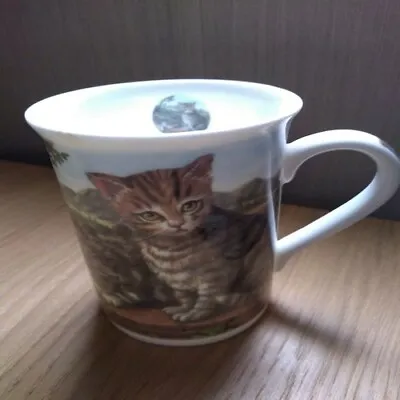Buy Royal Burlington Staffordshire Bone China Collection Mug/Cup Depicting 2 Kittens • 4.99£