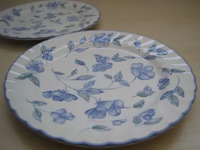 Buy 2 X Vintage BHS Bristol Blue Pattern 7 Inch Side Or Tea Plates • 14£