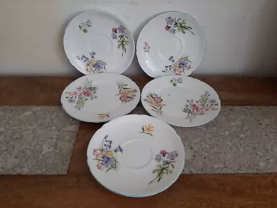 Buy Vintage SHELLEY 'WILD FLOWERS'  3 Saucers, 2 Side Plates, Pattern 13668. • 9.99£