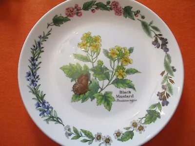 Buy Royal Worcester 'black Mustard' Plate • 3£