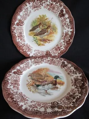 Buy Royal Worcester Palissy Game Series 2 X Dinner Plates 9.75 Inches • 16£