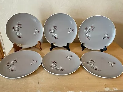Buy 6 X Vintage Royal Doulton Frost Pine Salad Small Dinner Plate 8.25  Approx GC • 19.99£